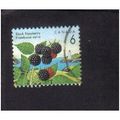 1991 canada black raspberry 6c f/u sg1464