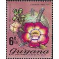 GUYANA, FLOWER, Cannonball Tree, brown 1971, 6c