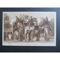 Elephant Riding, London Zoo Vintage Postcard