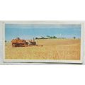 Lyons Tea card Australia No. 36 Wheat Farming