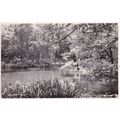 Kalmar Stadparken Real Photo Sweden Postcard