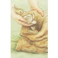 The Tale Of The Flopsy Bunnies Beatrix Potter 1...