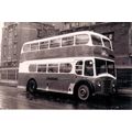 Black & White Photo of Premier Travel Ltd. - DC...