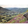 D097245 Betws y Coed. North Wales. R. W. Jones....