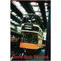 Tram Photo GLASGOW Corporation Tramways Standar...