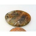 Golden Plume Agate Freeform Gemstone Cabochon 223