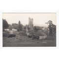View of Landkey Postcard Devon LK8