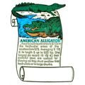 American Alligator History Fridge Magnet