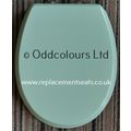 Shires Denbigh / Naiad Resin Replica Seat in WI...