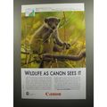 2008 Canon Photography Ad - Mongoose Lemur - Wildlife as Canon sees it