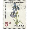 POLAND, FLOWER, Iris sibirica, white 1967, 5Zl