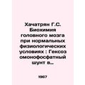 Khachatryan G. S. Brain Biochemistry under Normal Physiological Conditions: Hexo