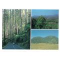 NORTH-EAST VICTORIA, AUSTRALIA used postcard. m...