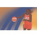 Sheryl Swoopes Womens American WNBA MVP Basketb...