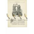 Walsingham Abbey, Norfolk, Book Illustration (P...