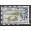 CAYMAN ISLANDS 1950 KG6 GREEN TURTLE MINT MH