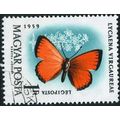 1959 Michel 1637 - cancelled