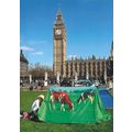 Grazing the Commons. Parliament Square, London
