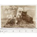 vintage postcard To Wish You A Happy Birthday -...
