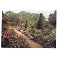 HIDCOTE MANOR GARDENS, unused vintage postcard ...