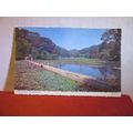 LILY PONDS, BOSHERSTON, Wales.. used postcard b...