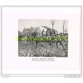 HOSTILE AIRCRAFT SIGHTED, ARMENTIERES, FRANCE, ...