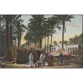 Arabic Bedouin, Alexandria, c.1910 - Cairo Post...