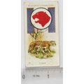 1933 Player's Boy Scout & Girl Guide Patrol Sig...