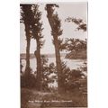 ED 343 HELSTON - HELFORD RIVER . PRINTED POSTCARD