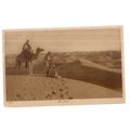 THE DESERT unused antique postcard camel =