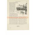 Westminster School (3), Book Illustration (Prin...