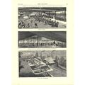 SCENES AT AN AUSTRALIAN SHEEP STATION - COLLARO...