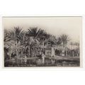 Moses Fountain Suez Egypt Postcard