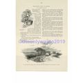 Haycart on Country Road, Essex, Book Illustrati...