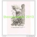 TOWN SCENE, FREJUS, FRANCE, BOOK ILLUSTRATION (...