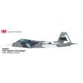 F-22 USAF "SPLINTER CAMOUFLAGE - HOBBY MASTER H...