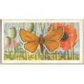 Brooke Bond Tea card BRITISH BUTTERFLIES no.47 ...