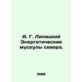 A. G. Lipitsky Energy Muscles of the North. In ...