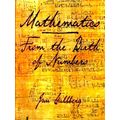 Mathematics - From the Birth of Numbers - From ...