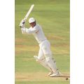 Martin Crowe New Zealand Cricket Player Postcard