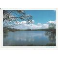 Carlingwark Loch Kirkcudbrightshire Postcard po...