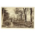 Hertfordshire postcard The Woods Sarratt