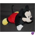 Disneys Mickey Mouse Megabean