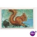 1994 Brooke Bond collectors Tea card GOING WILD...