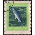 POLAND, FISH, Atlantic salmon, green 1958, 60 Gr