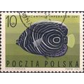 POLAND, FISH, Pomocanthus Imperator, green 1967...