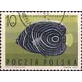 POLAND, FISH, Pomocanthus Imperator, green 1967, 10 Gr