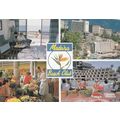 Madeira Funchal Beach Club Postcard