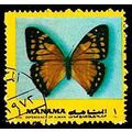 Manama 1972 Animals Butterfly 2Dh Used Stamp Ba...