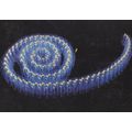 Snail Made Of Glowing People Procession Award P...